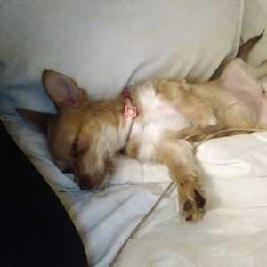 Meet your Posher, Kristina